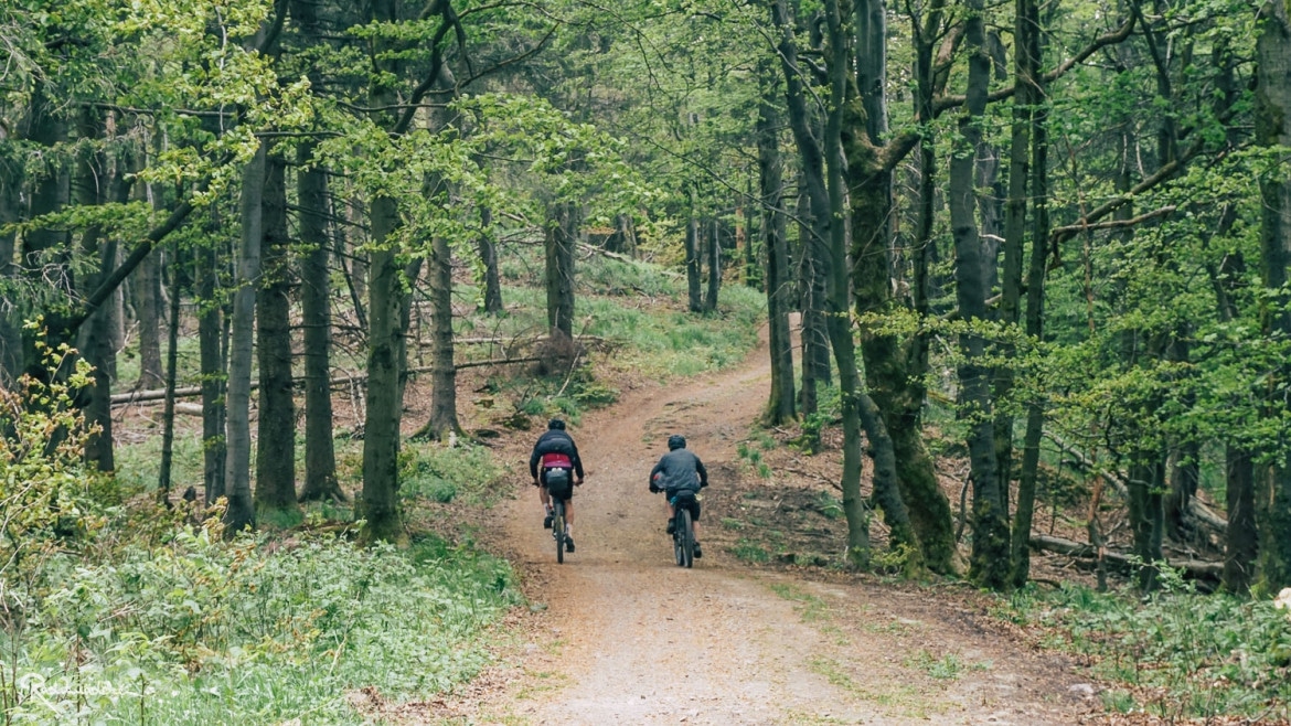 Radfahrende im Wald