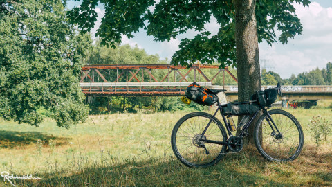 Fahrrad am Baum mit Brücke im Hintergrund