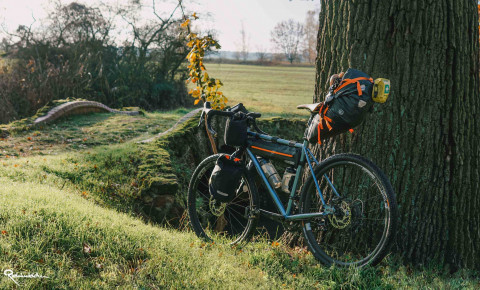 bikepacking gravelbike leaning at a tree