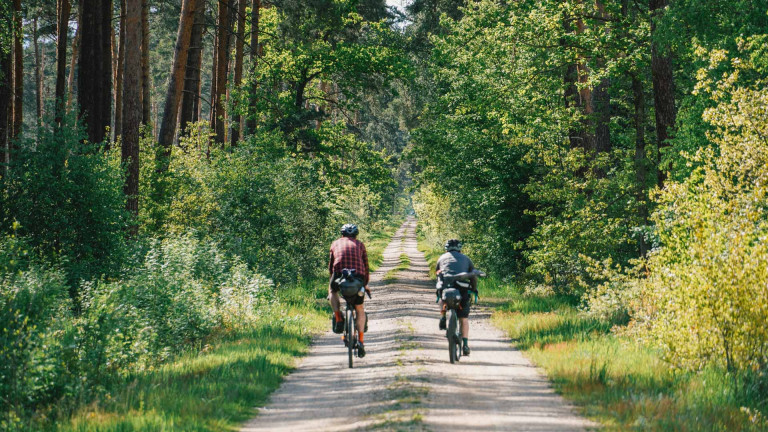 Schotterstraße durch den Wald mit Radfahrern
