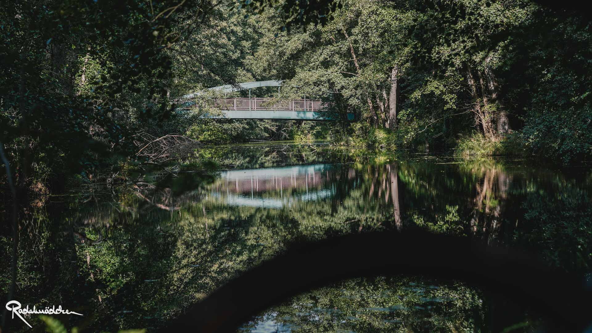 Brücke über dem Wasser im Wald