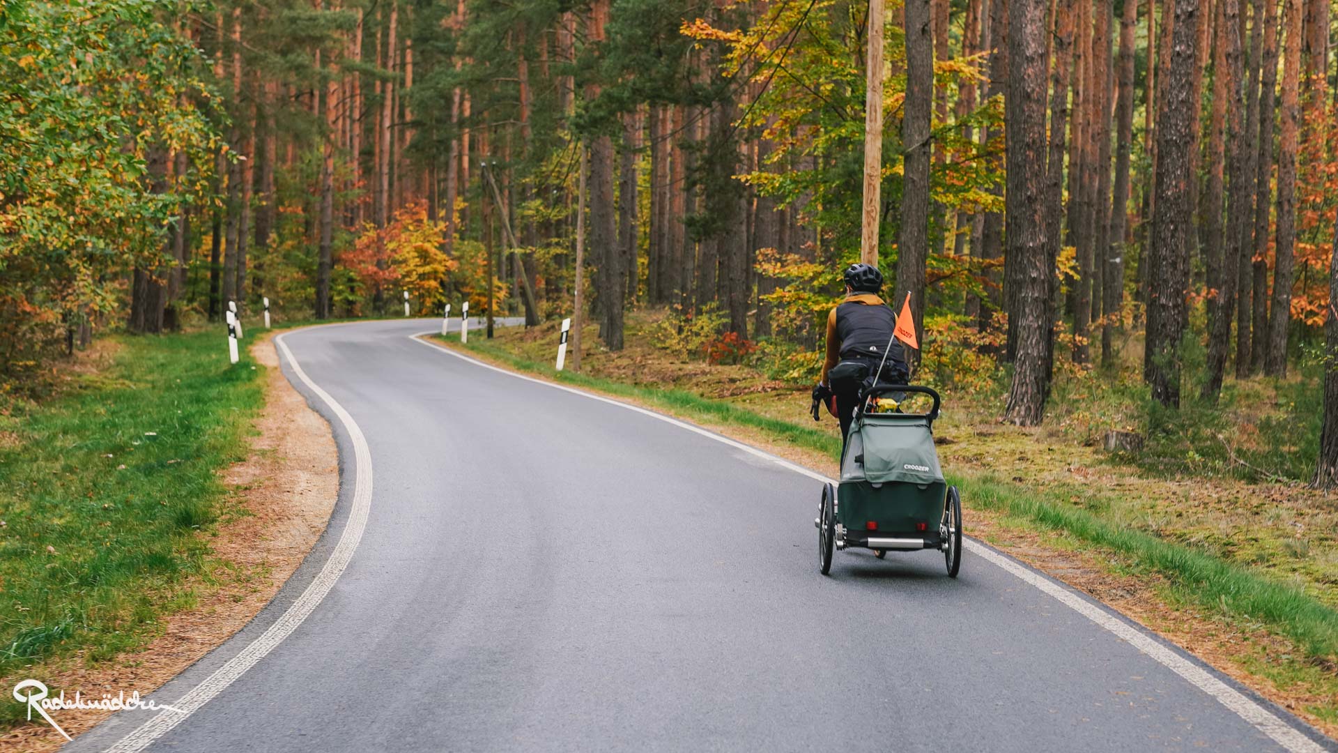 Straße durch den Herbstlichen Wald mit Radfahrerin mit Kinderanhänger am Gravelbike