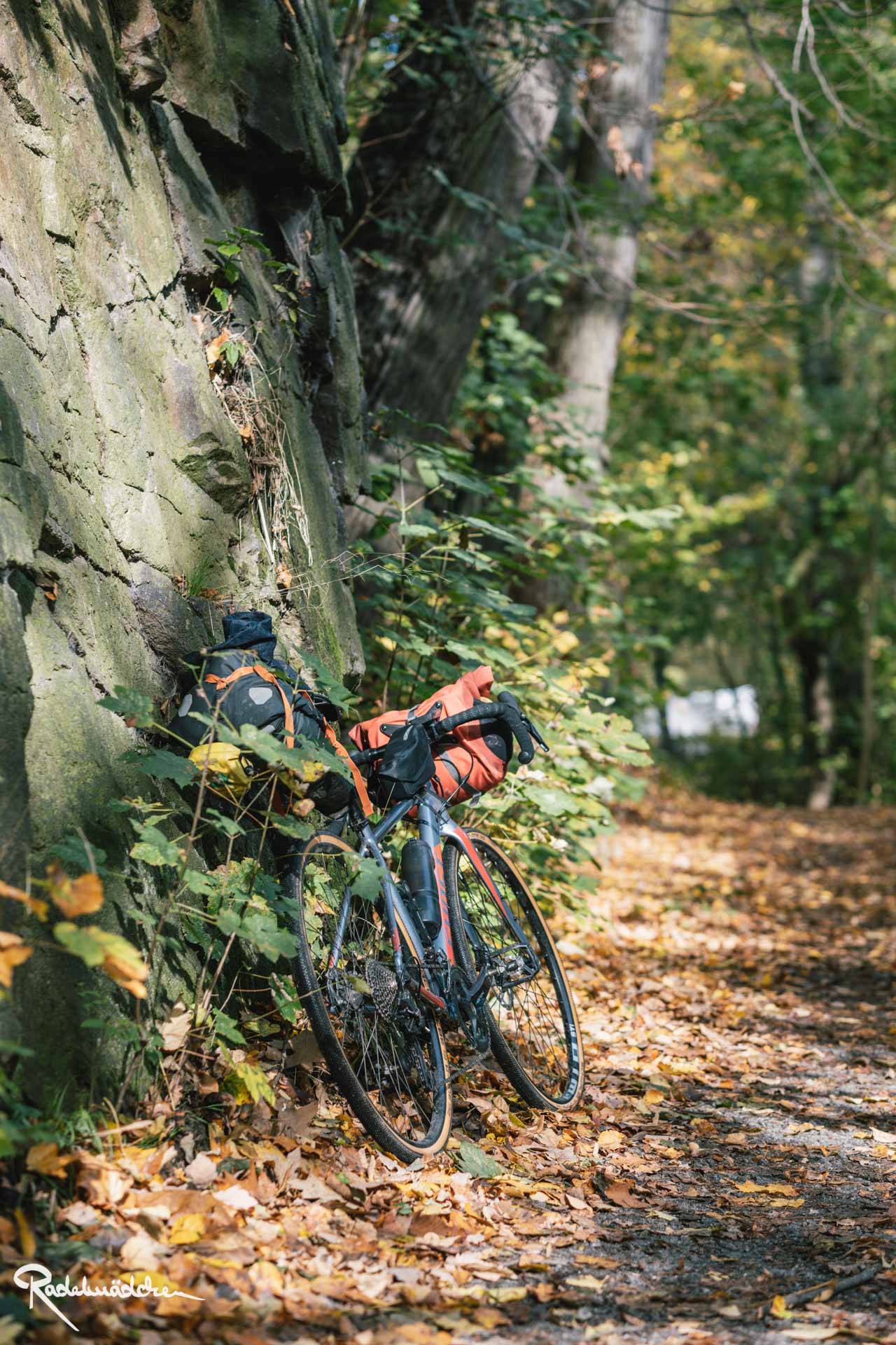 Fahrrad lehnt an einem Fels mit gefallenen Laub und unter Bäumen
