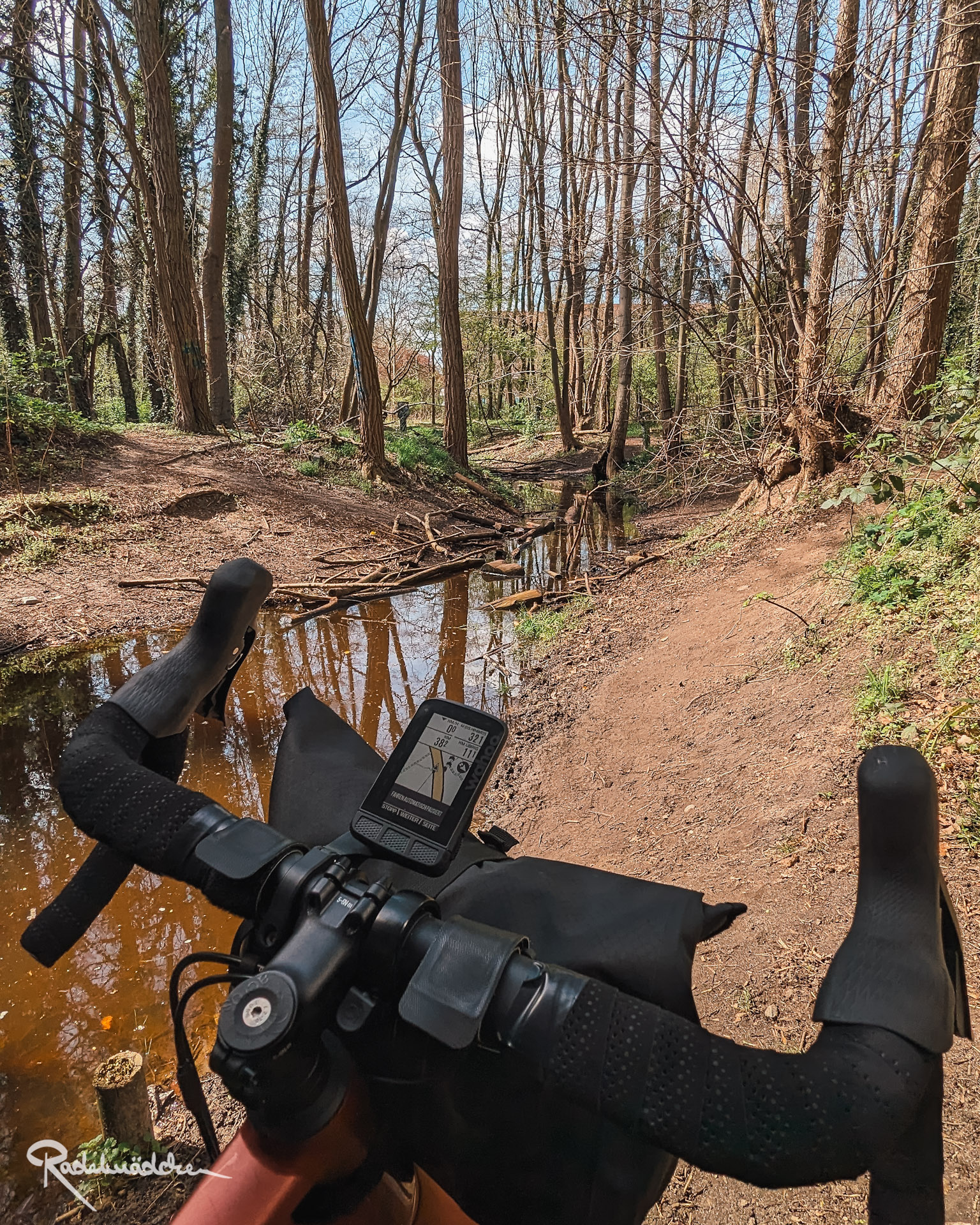 Fahrrad an einem Bach im Wald