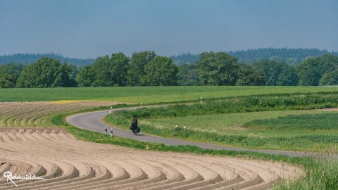 Straße zwischen den Feldern mit Radfahrerin