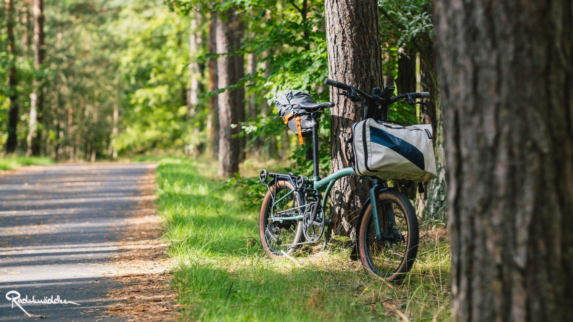 fahrrad im Wald neben dem Radweg