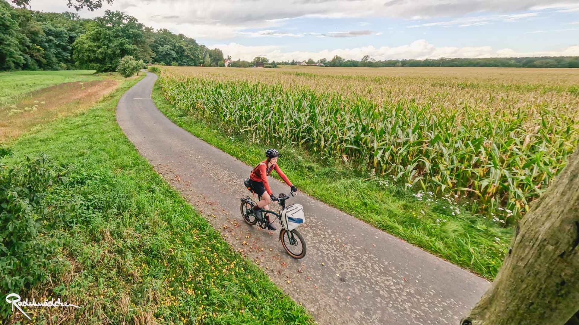 Jule auf Radweg neben Feld