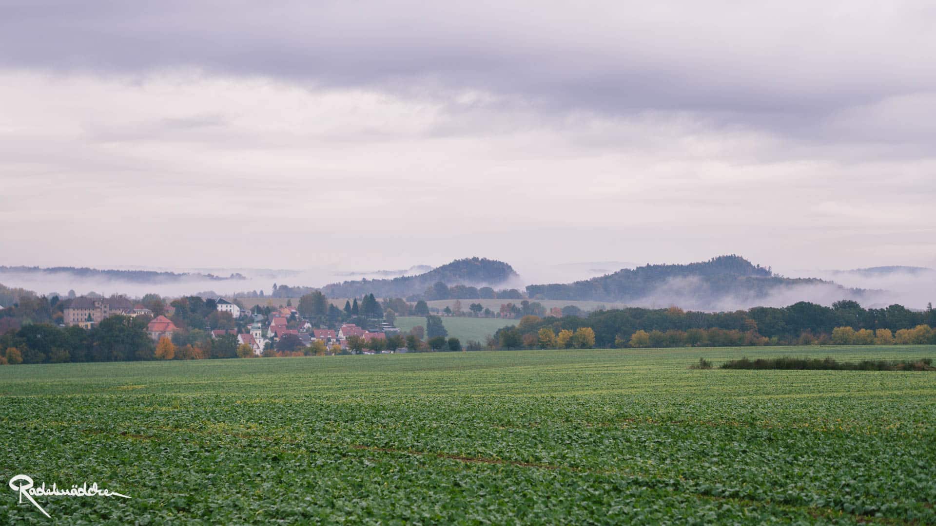 Rock Heads in der Sächsischen Schweiz