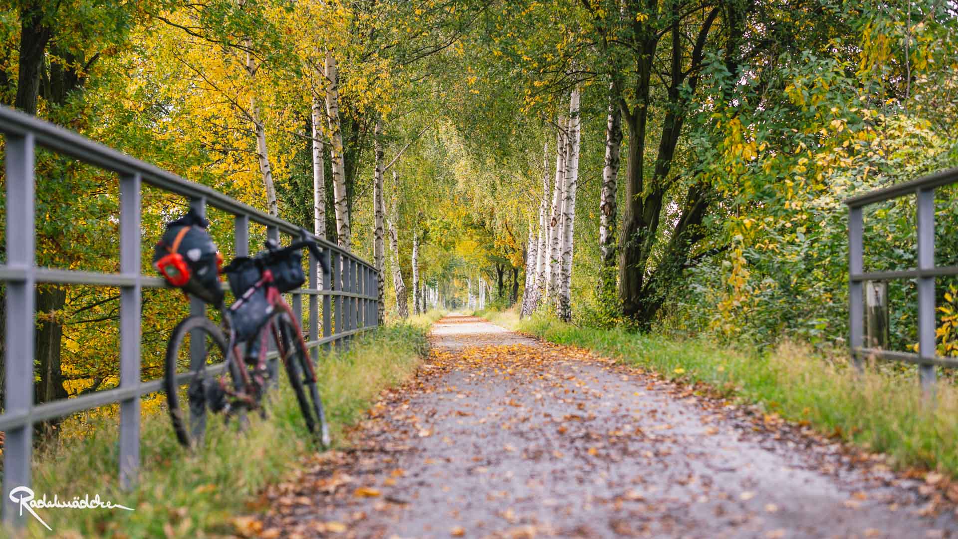 Fahrrad an Zaun gelehnt und Weg zwischen den Bäumen
